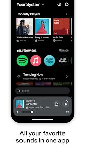 Google Voice – Appar på Google Play.